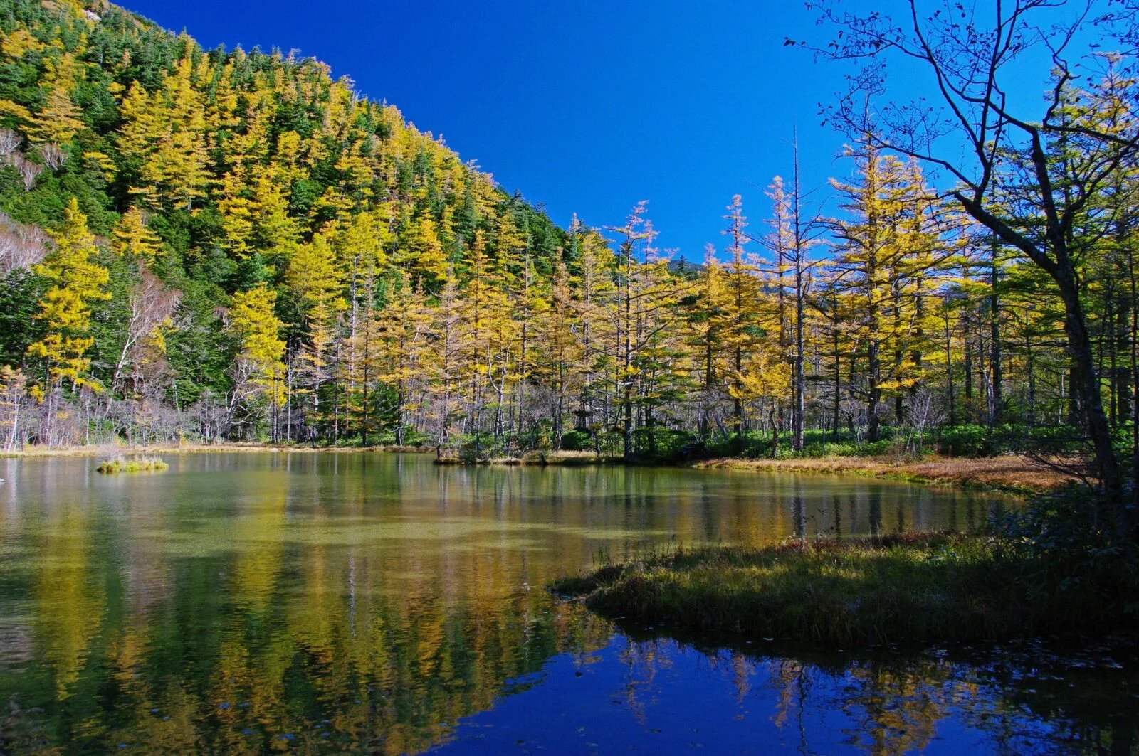 🏞️ 묘진 연못 명수 공원(묘진이케 메이스이 코엔)